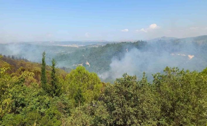 Balıkesir’deki orman yangınlarına müdahale sürüyor