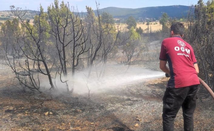 Bozüyük’te çıkan anız yangını ormanlık alana sıçramadan söndürüldü