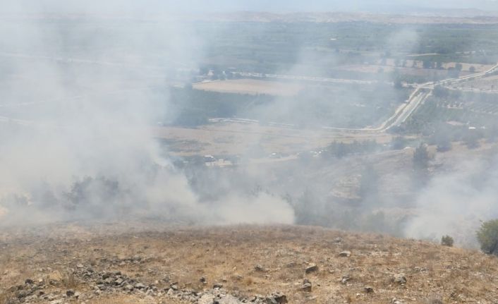 Denizli’de ormanlık alanda çıkan yangına müdahale ediliyor