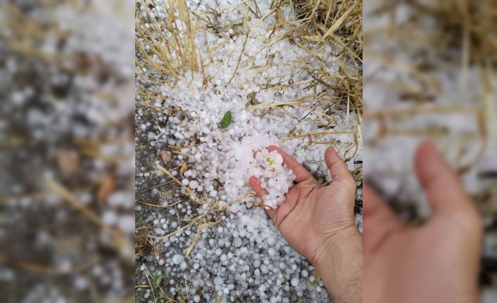 Erzincan’ın Tercan ilçesinde dolu etkili oldu