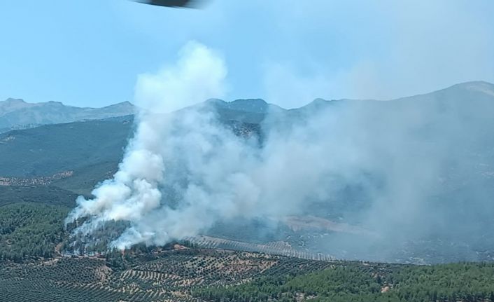 Hatay’da orman yangını