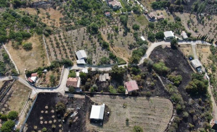 İzmir’deki orman yangının boyutu gün ağarınca ortaya çıktı