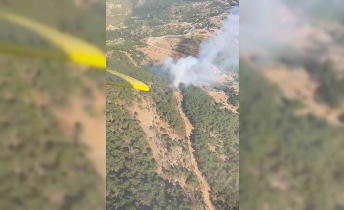 İzmir’deki orman yangınına havadan ve karadan müdahale sürüyor