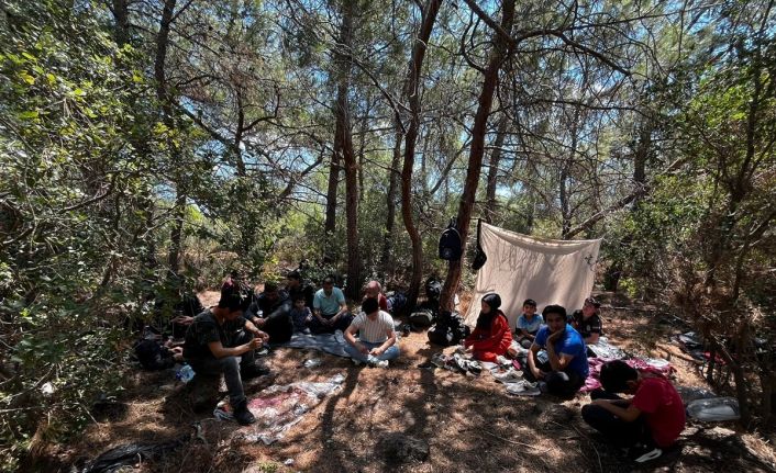 Jandarma 55 düzensiz göçmen ve 1 organizatörü yakaladı