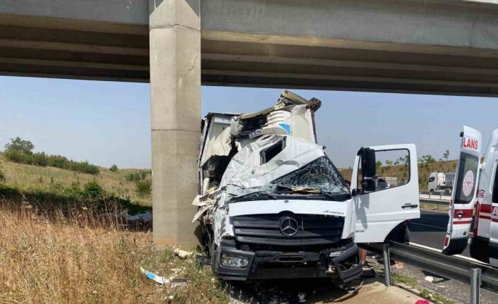 Köprü ayağına çarpan kamyonetin sürücüsü yaralandı