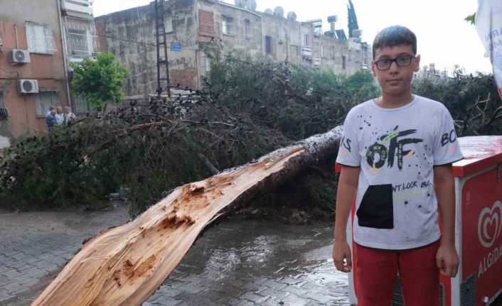 Küçük çocuk fırtınada devrilen ağacın altında kalmaktan son anda kurtuldu