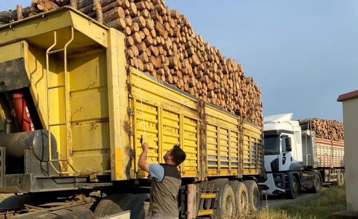 Kütahya’da orman emvali yüklü araçlarda ’Mobil Denetim’