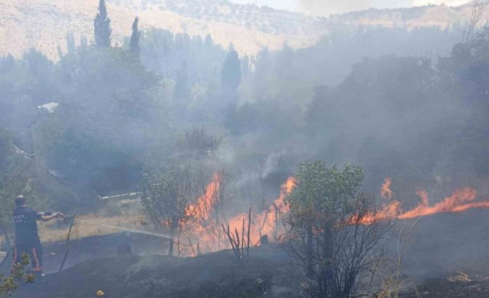 Malatya’da bahçelik alanda korkutan yangın