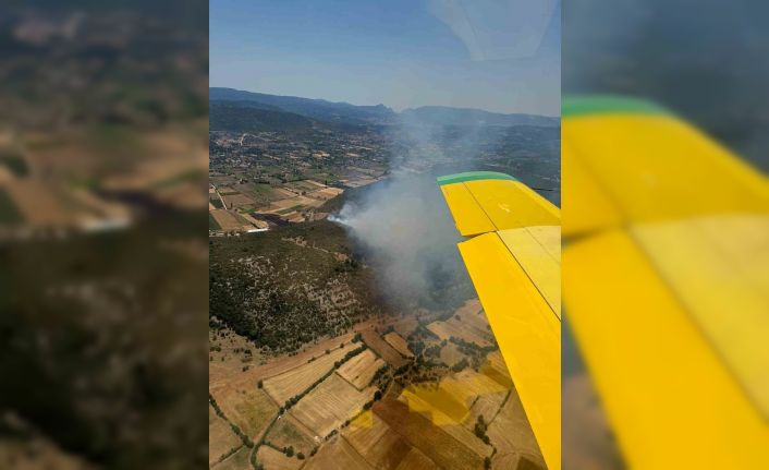 Muğla’nın Menteşe İlçesinde orman yangını