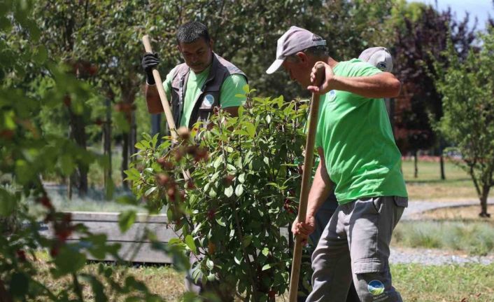 Sakarya Büyükşehir Belediyesi’nden şehre estetik dokunuş