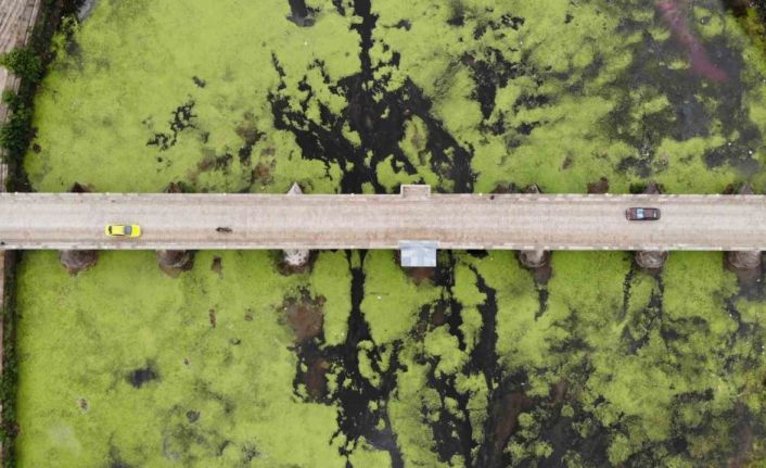 Su akışı durdu, Tunca Nehri yeşile döndü