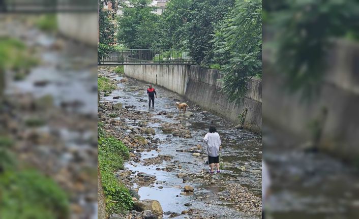 Su kanalına düşen keçiyi itfaiye ekipleri kurtardı