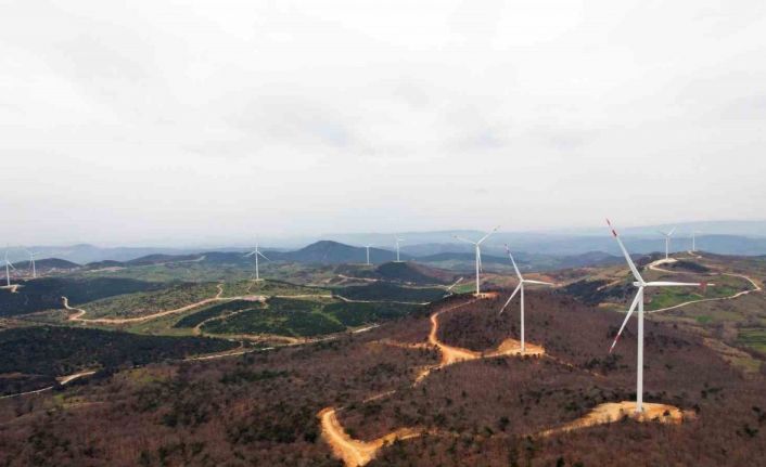 Tatlıpınar Enerji’nin 3 aylık kârı yüzde 75 arttı