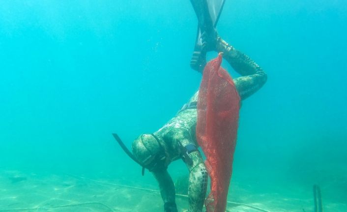 Türkbükü’nde deniz dibi temizliği