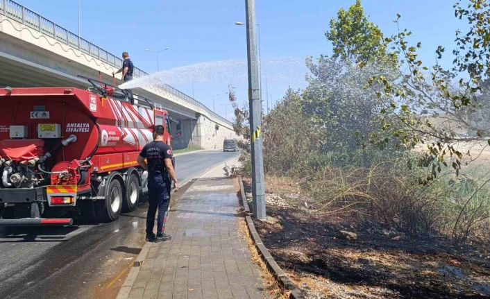 Yol kenarına atılan sigara izmariti yangın çıkardı