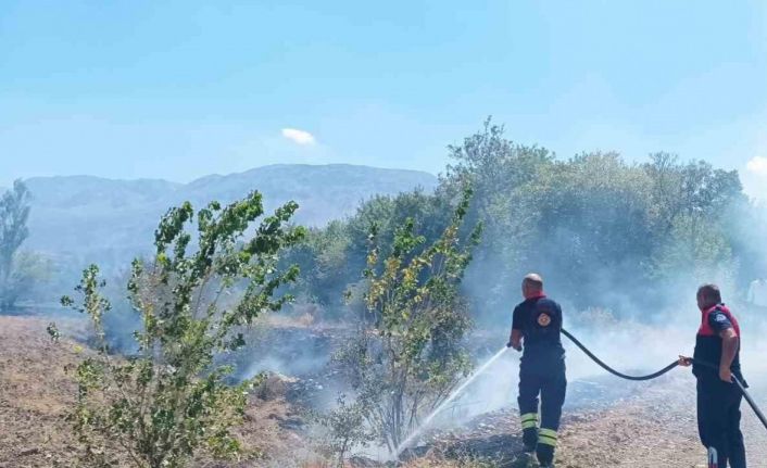 Ağaçlık alanda çıkan yangın itfaiye ekiplerinin müdahalesiyle söndürüldü