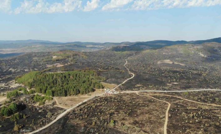 Ankara’dan Bolu’ya sıçrayan yangın 22 saat sonra kontrol altına alındı