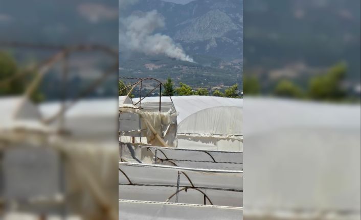 Antalya’da orman yangını