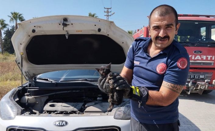 Araç motoruna sıkışan kediyi itfaiye kurtardı