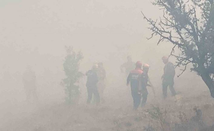 Bolu’da kontrol altına alınan yangın tekrar alevlendi