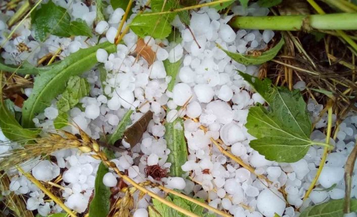 Çameli’nde şiddetli dolu ekili arazilere zarar verdi