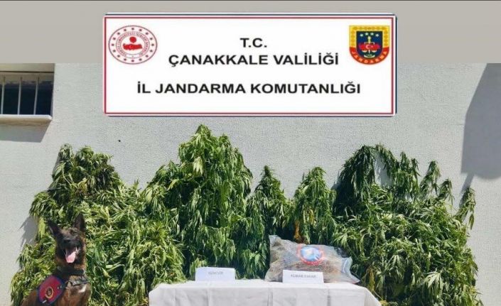 Çanakkale’de uyuşturucu operasyonu