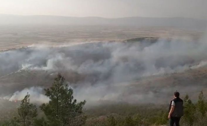 Denizli’deki orman yangını kontrol altına alındı