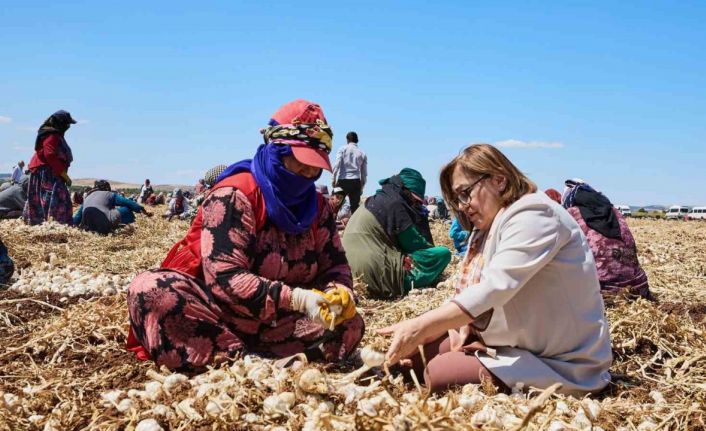 Gaziantep’te "Haydi Tarladan Sofraya" projesi ile çiftçi ile tüketici buluşturulacak