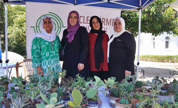 Hem tohumlar hem kadınlar güçleniyor