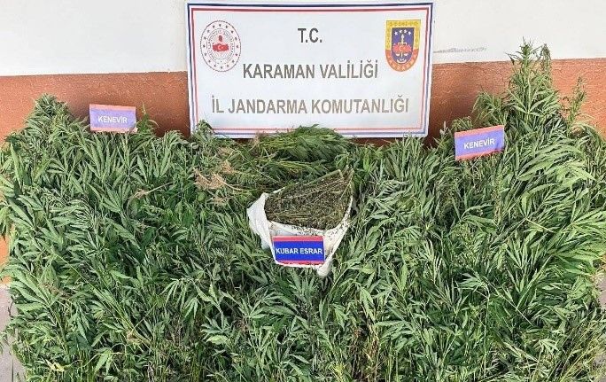 Karaman’da yetiştirdiği keneviri satmaya çalışan 1 kişi tutuklandı