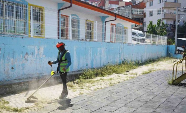 Okul bahçelerinde yabani ot temizliği