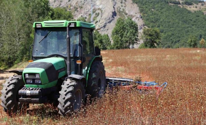 Ordu’da buğday hasadı