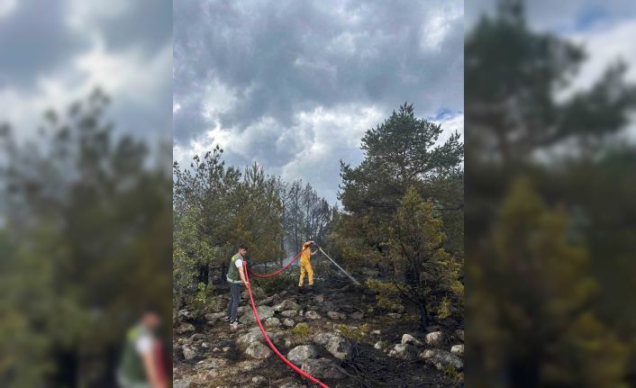 Orman yangınına erken müdahale faciayı önledi