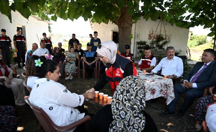 Osmaniye’de gül hasadı