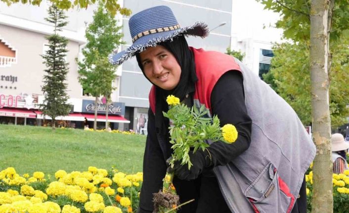 Sonbahar renkleri toprakla buluşuyor