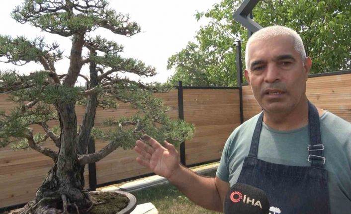 Toprak Dede’nin bonsai koleksiyonu müzede yaşatılıyor