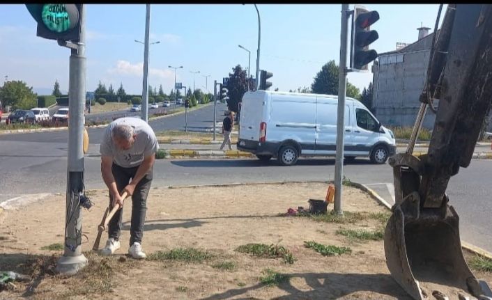 Uluslararası standartların üstünde araç geçiyor