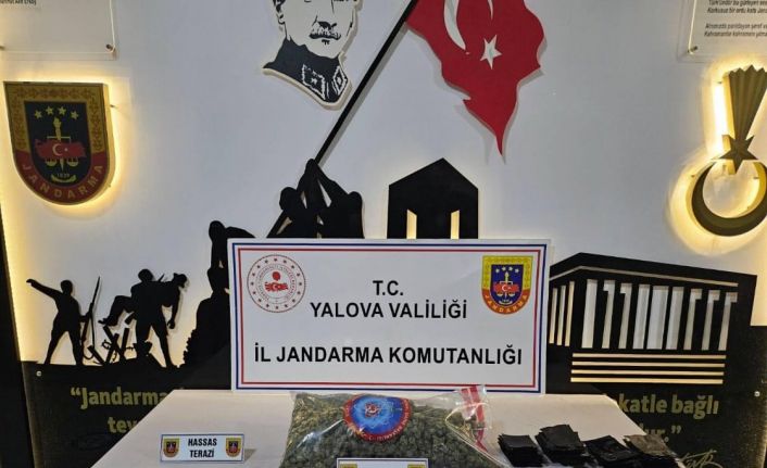 Yalova’da uyuşturucu operasyonu: 1 gözaltı