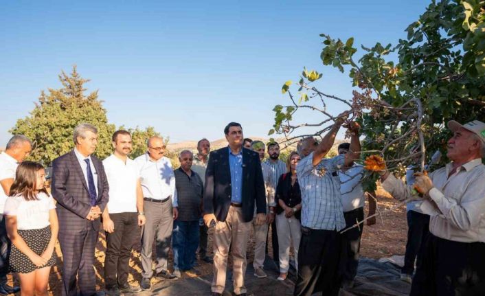 Yılmaz’dan Fıstık Mitingi’ne davet