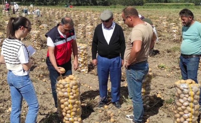 Altıntaş’ta patates ekiliş ve hasat kontrolleri