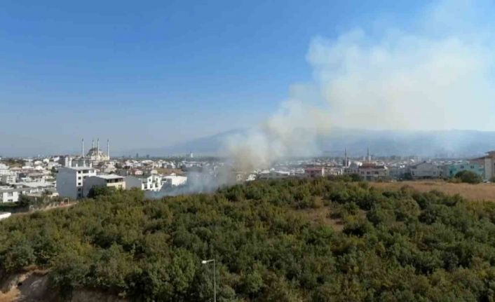 Bursa’da çocukların torpille eğlencesi yangına neden oldu