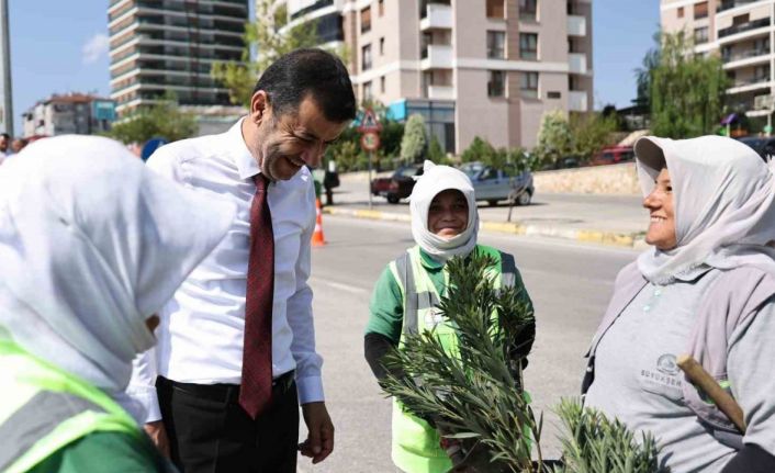 Denizli’de susuzluğa dayanıklı yeşil bitki dönemi başlıyor