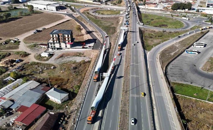 Dev kanatların zorlu yolcuğu trafiğin aksamasına neden oldu