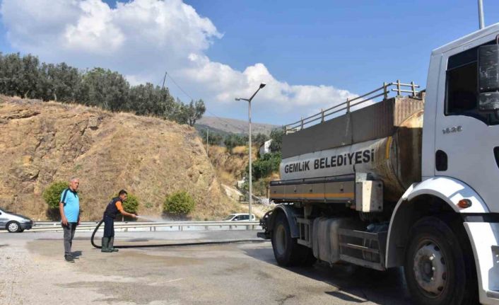 Gemlik’te dört koldan temizlik