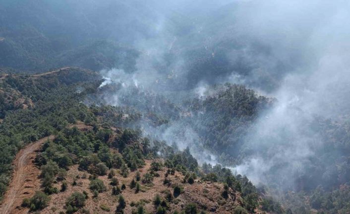 Hatay’da gece saatlerinde başlayan orman yangını kontrol altına alındı