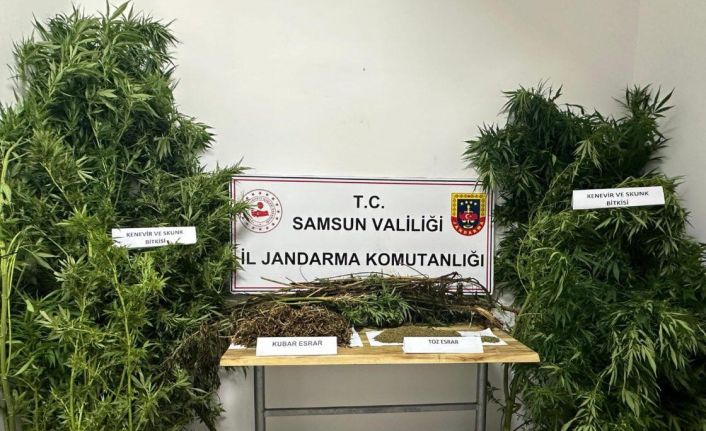 Jandarmadan uyuşturucu operasyonu: 2 gözaltı