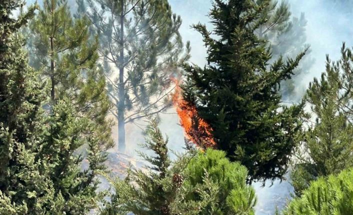 Kahramanmaraş’ta Şehitler Koruluğu’nda çıkan yangın söndürüldü