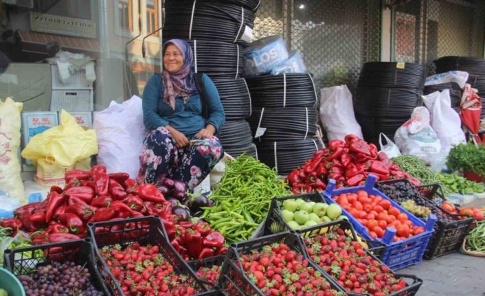 Kaz Dağları’nda yetişen organik ürünler ilçe pazarında satılıyor