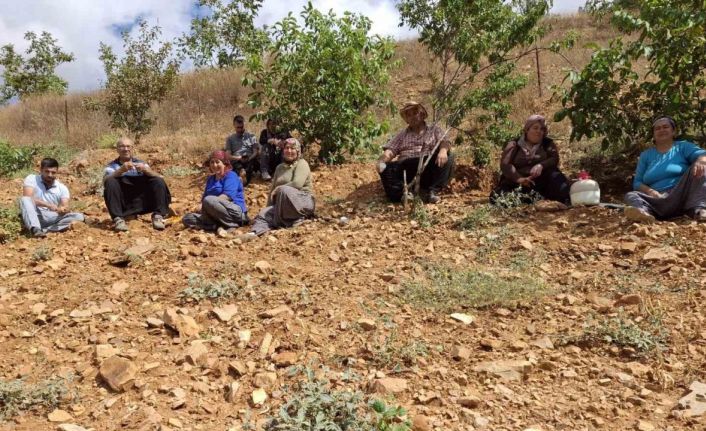 Lezzeti tescilli Tufanbeyli fasulyesi ilçe sınırlarını aştı