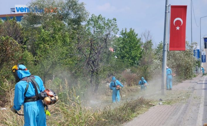 Park ve bahçelerde sonbahar temizliği